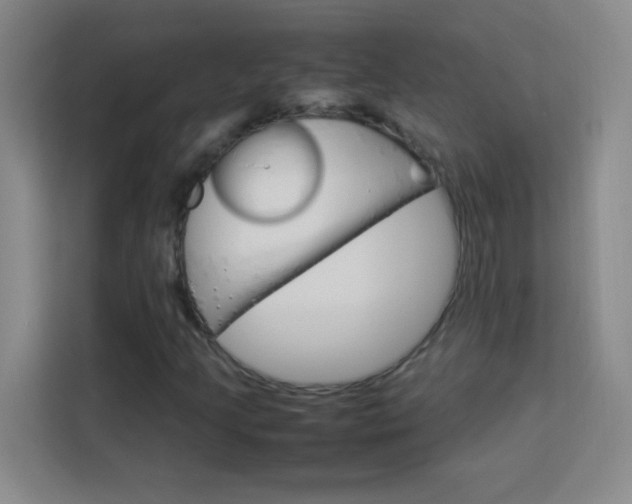 X0000114111205200910051232
