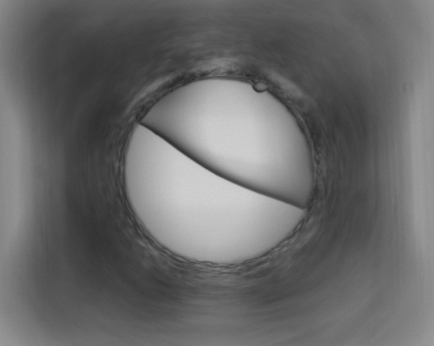 X0000114111206200910051232