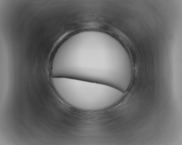 X0000114111212200910051232