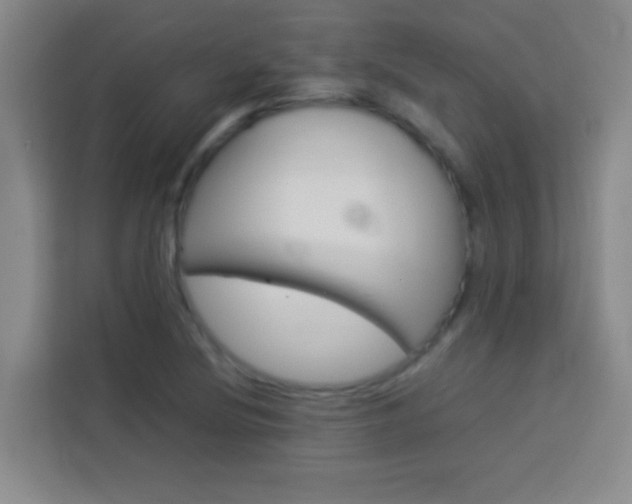 X0000114111220200910051232