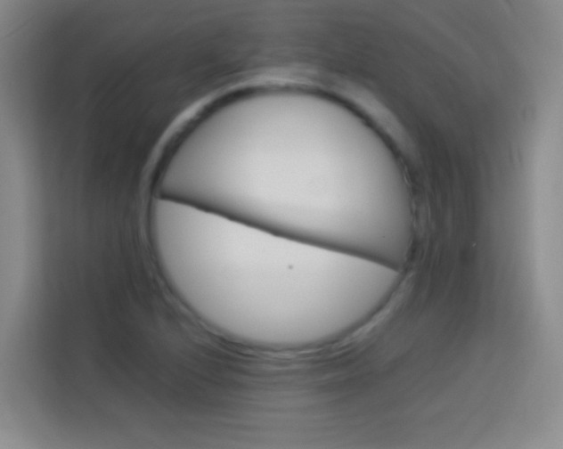 X0000114111224200910051232