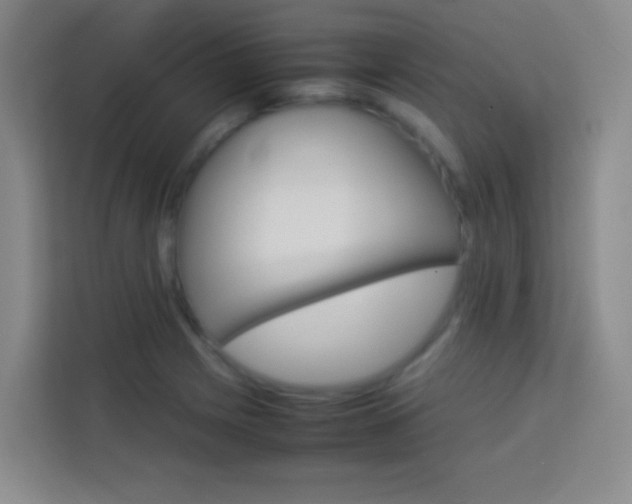 X0000114111225200910051232