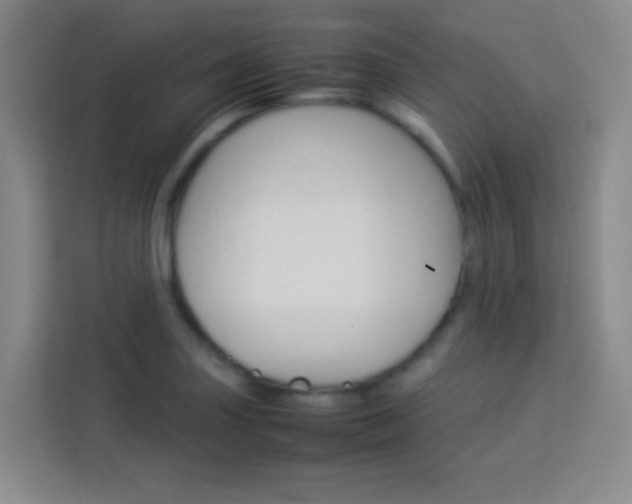 X0000114111227200910051232