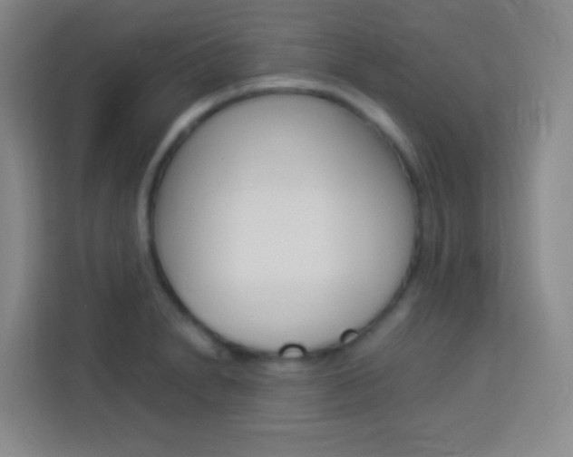 X0000114111230200910051232