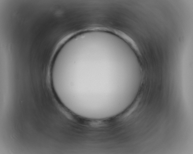 X0000114111231200910051232