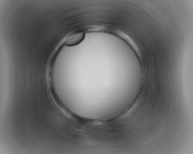 X0000114111235200910051232