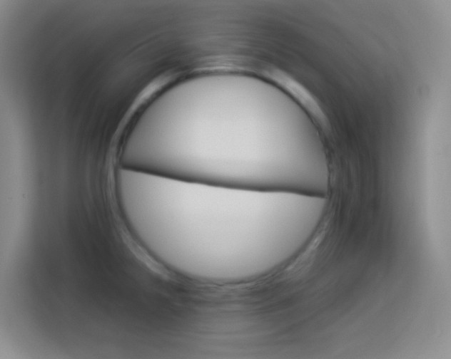 X0000114111238200910051232