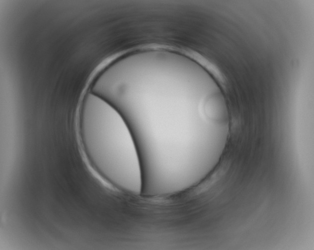X0000114111239200910051232
