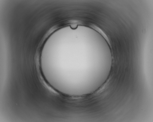 X0000114111243200910051232