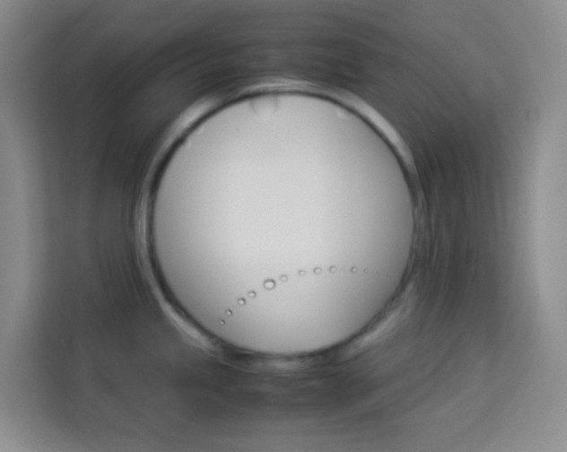 X0000114111245200910051232