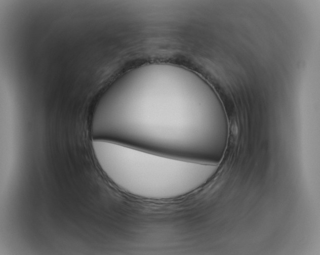 X0000114111252200910051232
