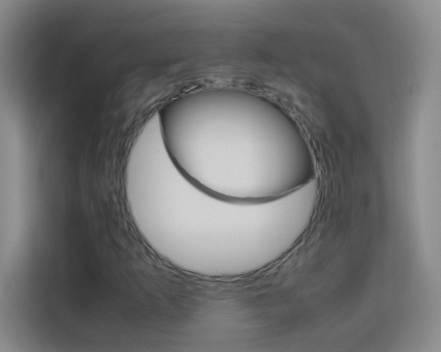 X0000114111253200910051232