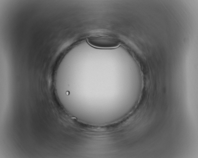 X0000114111261200910051231