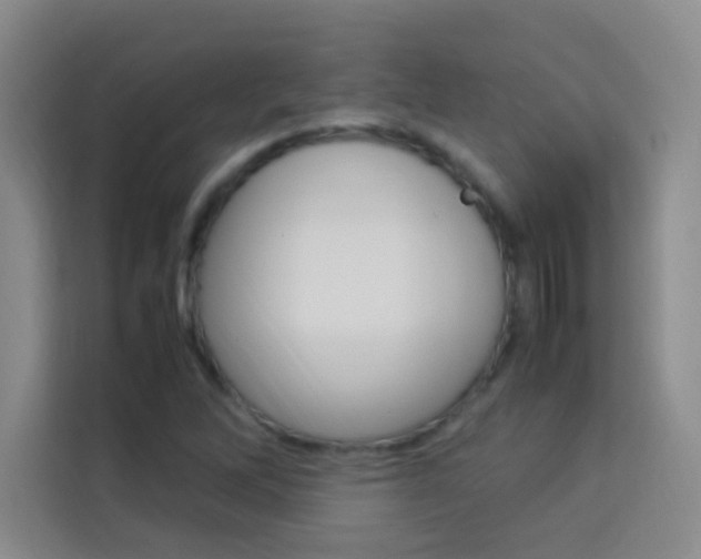X0000114111262200910051231
