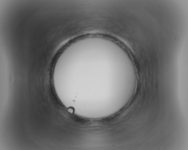 X0000114111263200910051231