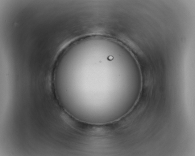 X0000114111264200910051231