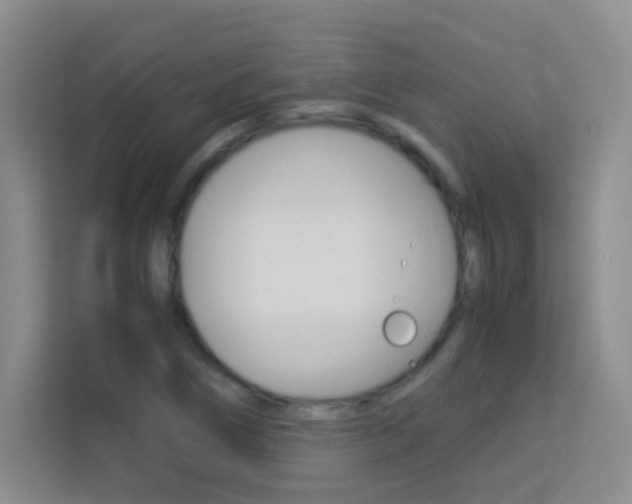 X0000114111266200910051231