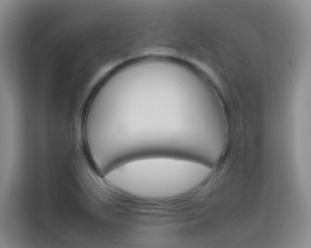 X0000114111271200910051231