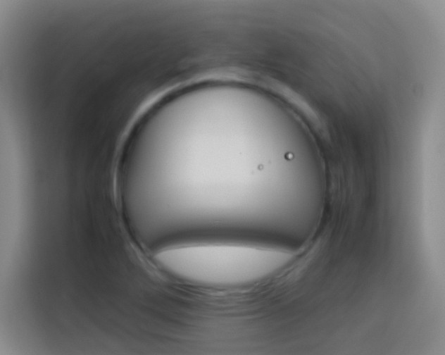 X0000114111272200910051231