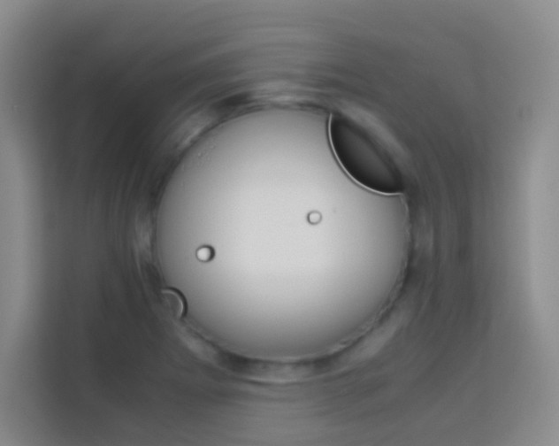 X0000114111273200910051231