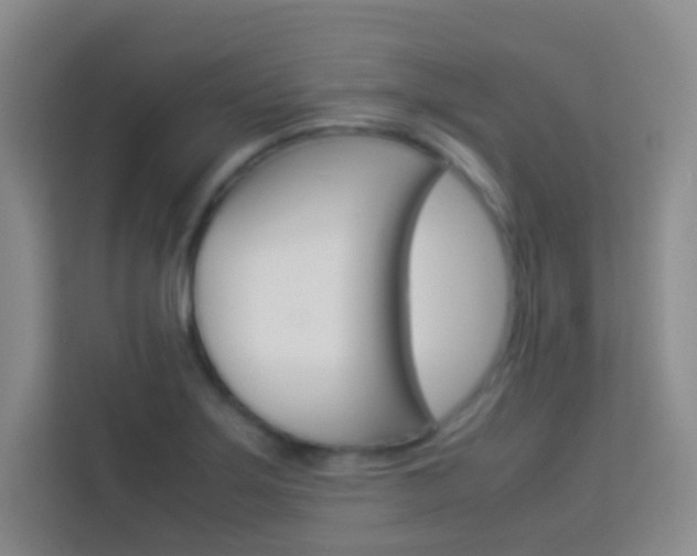 X0000114111275200910051231