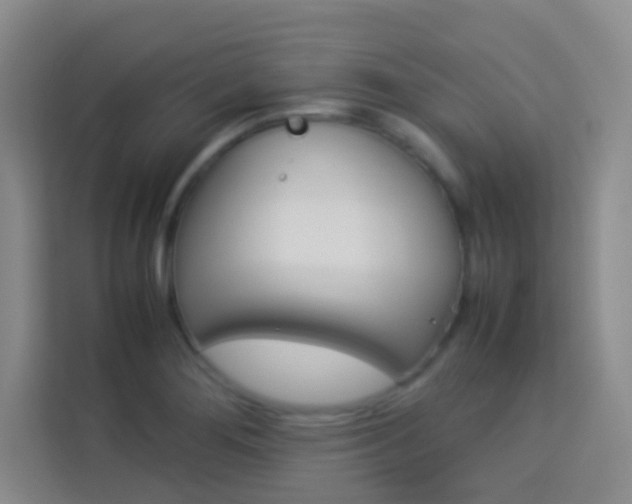 X0000114111276200910051231