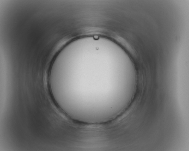 X0000114111277200910051231