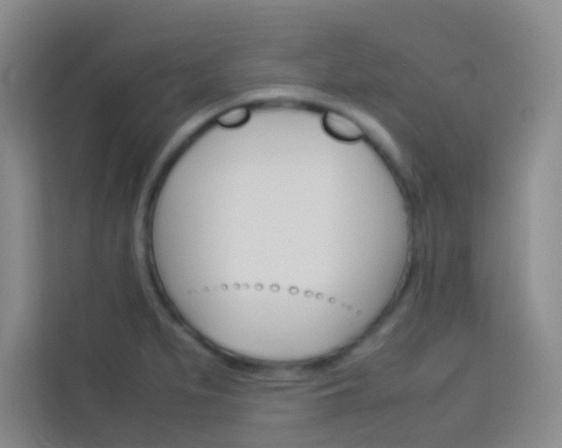 X0000114111279200910051231