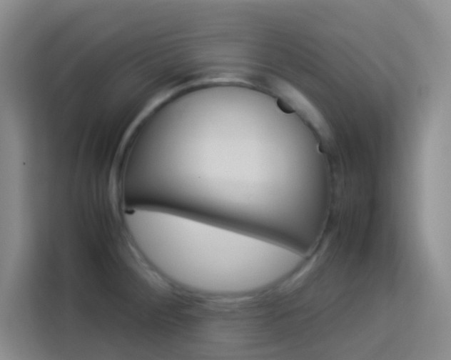 X0000114111284200910051231