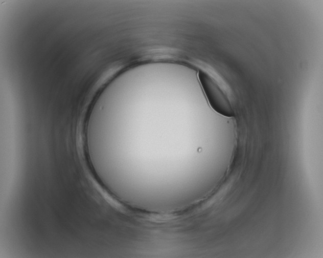 X0000114111285200910051231