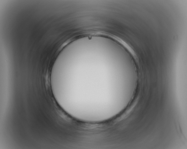 X0000114111289200910051231