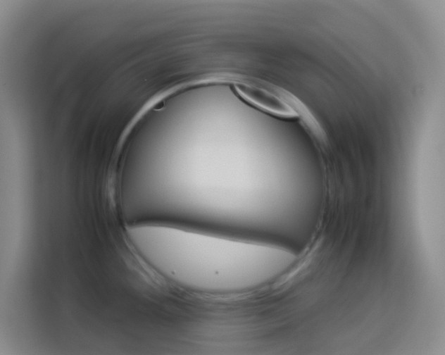 X0000114111292200910051231
