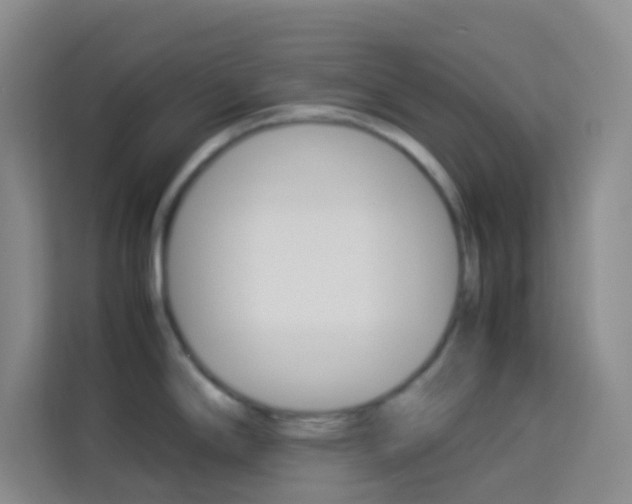 X0000114111294200910051231