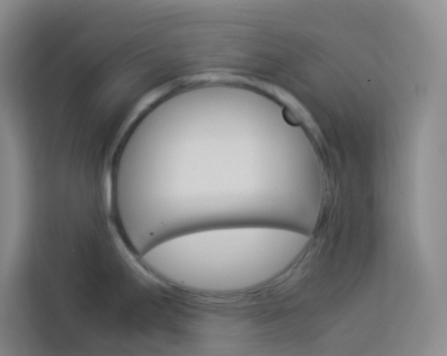 X0000114111295200910051231
