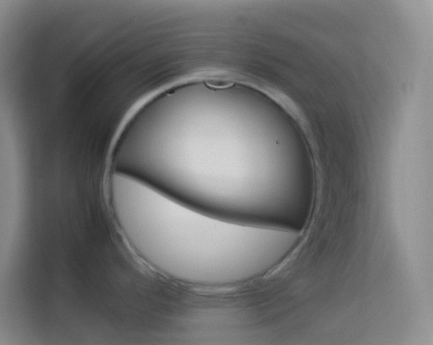 X0000114111296200910051231