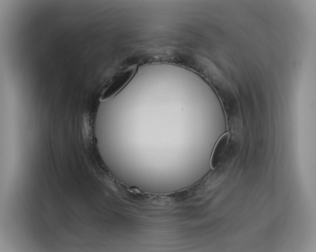 X0000114111298200910051230