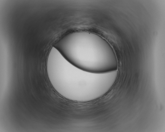 X0000114111300200910051230