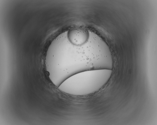 X0000114111302200910051230