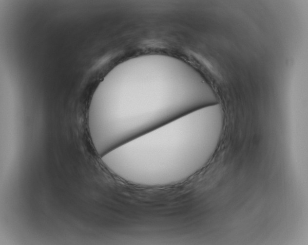 X0000114111303200910051230