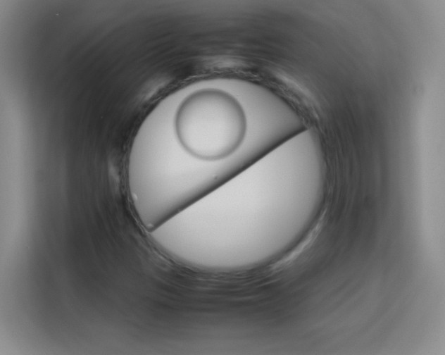 X0000114111305200910051230