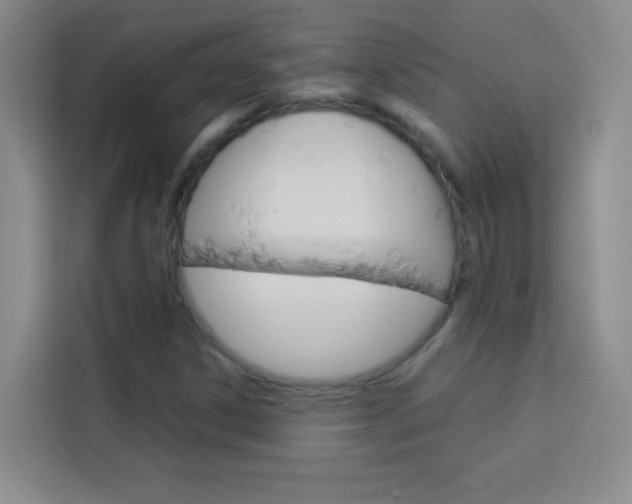 X0000114111306200910051230