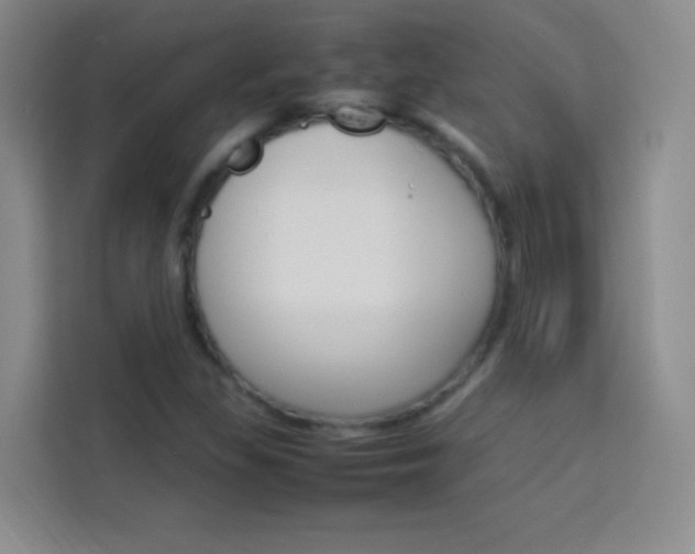 X0000114111309200910051230