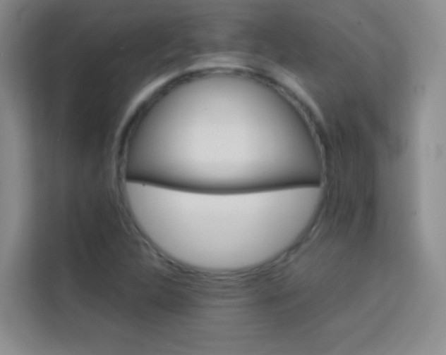X0000114111312200910051231