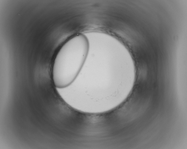 X0000114111314200910051231