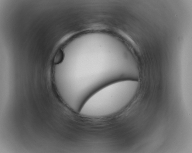 X0000114111315200910051231