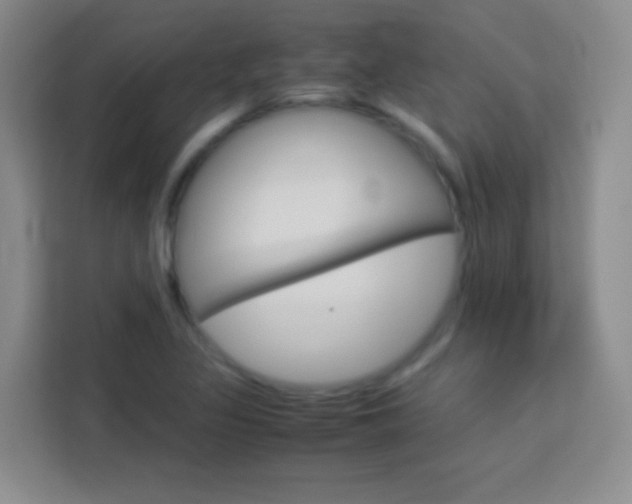 X0000114111317200910051231