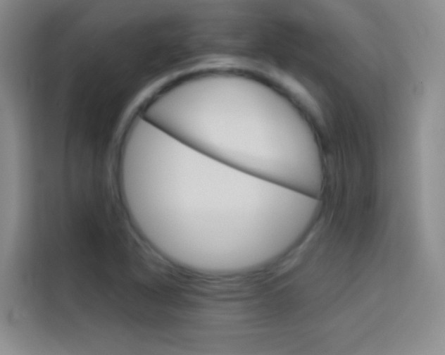 X0000114111318200910051231