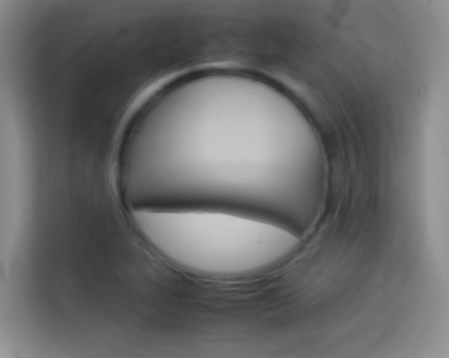 X0000114111319200910051231