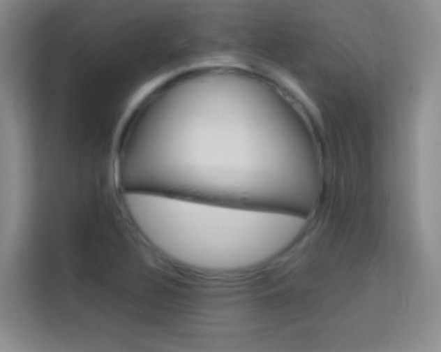 X0000114111320200910051231
