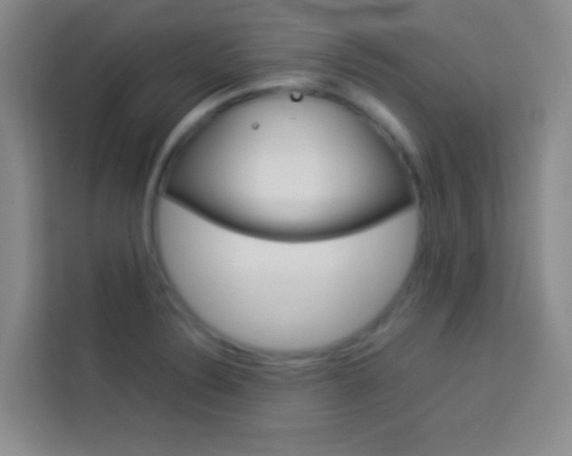 X0000114111324200910051231